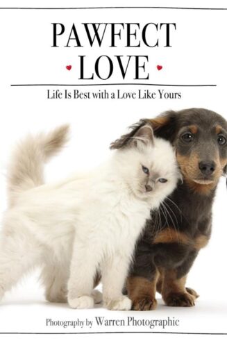 9780310354130 Pawfect Love : Life Is Best With A Love Like Yours