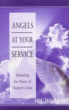 9781573991926 Angels At Your Service