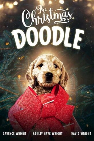 9781954458079 Christmas Doodle (DVD)