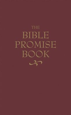 9780916441432 Bible Promise Book KJV