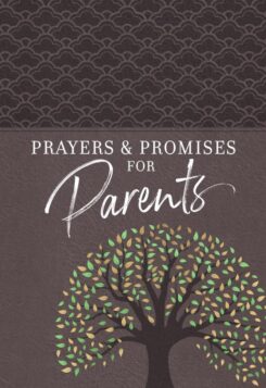 9781424566662 Prayers And Promises For Parents