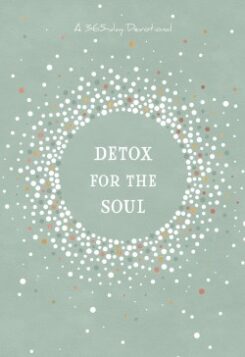 9781424566716 Detox For The Soul