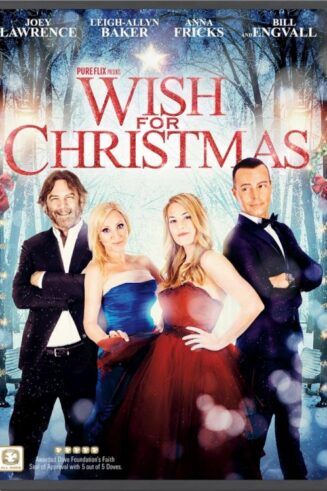 857000006064 Wish For Christmas (DVD)