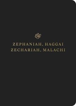 9781433565144 Scripture Journal Zephaniah Haggai Zechariah And Malachi