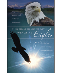 730817333076 Wings As Eagles Pack Of 100