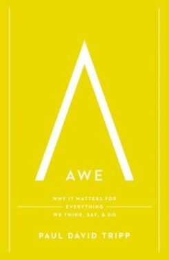 9781433547072 Awe : Why It Matters For Everything We Think Say And Do