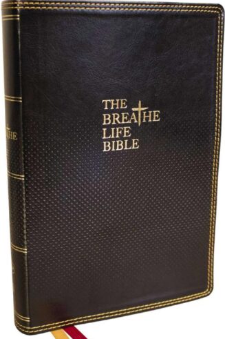 9780785263364 Breathe Life Holy Bible Comfort Print