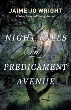 9780764241451 Night Falls On Predicament Avenue