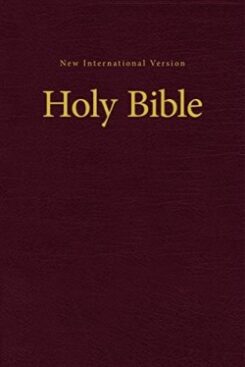 9780310446231 Value Pew And Worship Bible