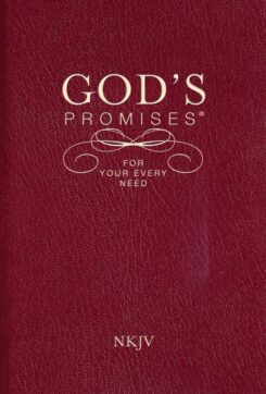 9781404186651 Gods Promises For Your Every Need NKJV