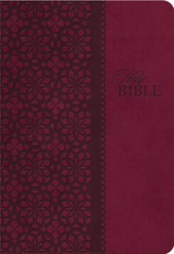 9781401680336 Study Bible Second Edition