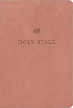 9781433595646 Large Print Compact Bible