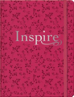 9781496474100 Inspire Bible Filament Enabled Edition