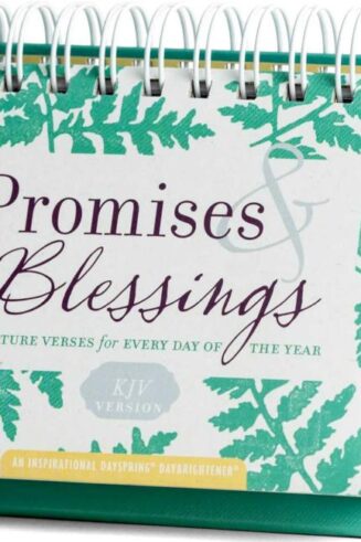 9781644549360 Promises And Blessings KJV Version DayBrightener