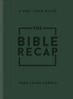 9780764243103 Bible Recap (Deluxe)