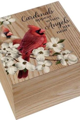 096069249863 Cardinals Appear Memory Box