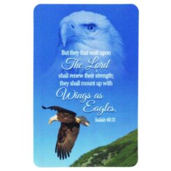 603799782364 Eagle Pocket Card