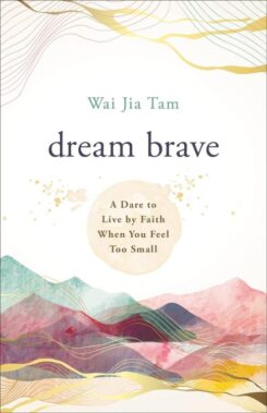 9780800763503 Dream Brave : A Dare To Live By Faith When You Feel Too Small