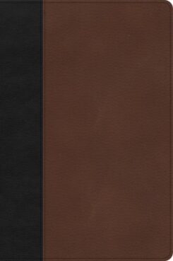 9781087774404 Large Print Thinline Bible