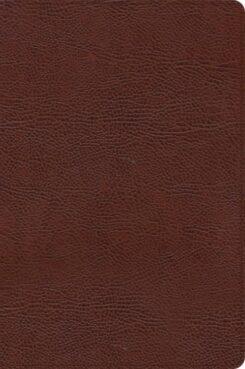 9781087774428 Large Print Thinline Bible