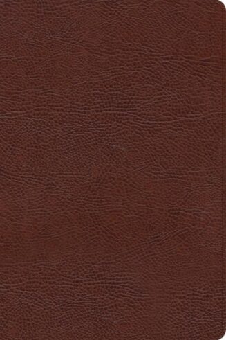 9781087774428 Large Print Thinline Bible