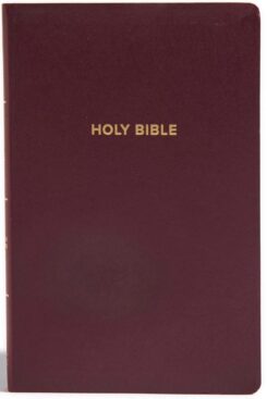 9781535941495 Gift And Award Bible