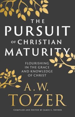 9780764240300 Pursuit Of Christian Maturity