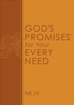 9780529100801 Gods Promises For Your Every Need NJKV