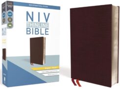 9780310448624 Thinline Bible Giant Print Comfort Print