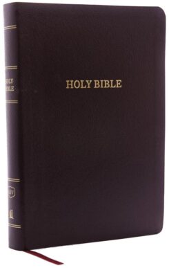 9780785215394 Giant Print Center Column Reference Bible Comfort Print