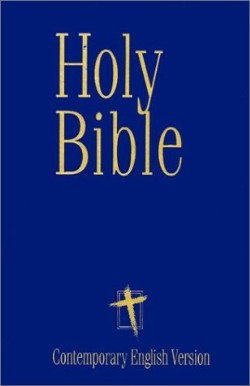 9781585161614 Easy Reading Bible