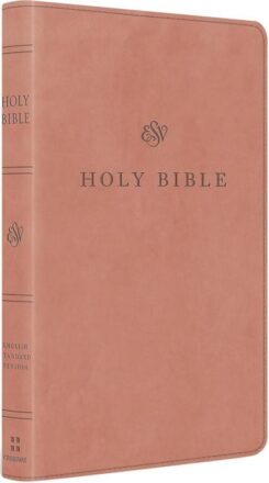 9798874900038 Premium Church Bible