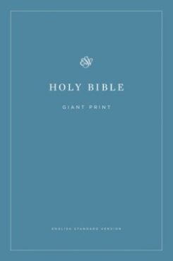 9781433558979 Economy Bible Giant Print