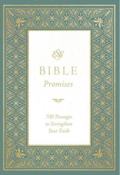 9781433591884 ESV Bible Promises