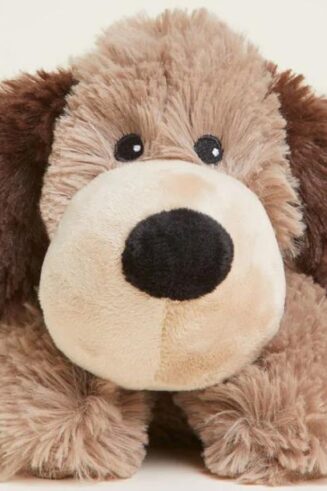 816018025443 Warmies Brown Dog Junior