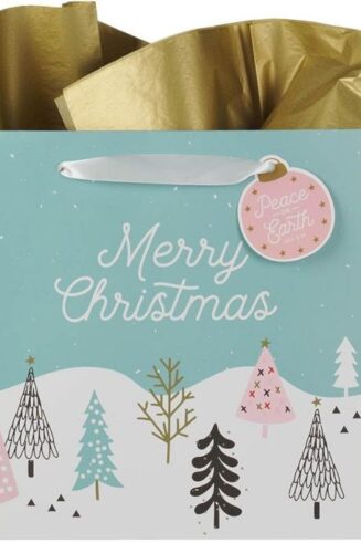 1220000325418 Large Landscape Inspirational Scripture Holiday Gift Bag