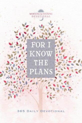 9781424570874 For I Know The Plans