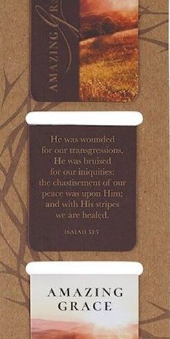 1220000720183 Amazing Grace Die Cut Magnetic Bookmark Set Isaiah 53:3