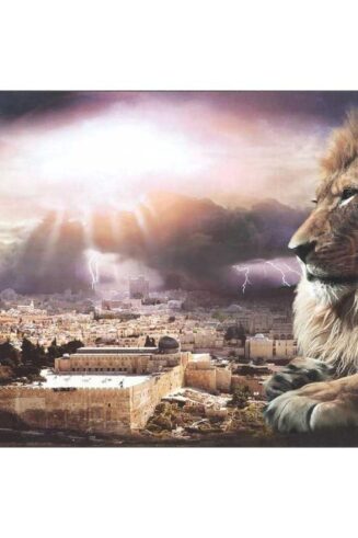 603799564823 I Am Plock (Plaque)