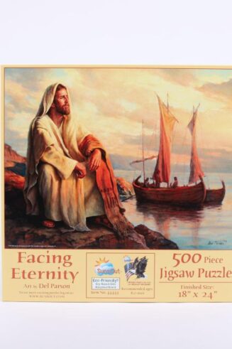 788200601301 Facing Eternity 500 Piece (Puzzle)