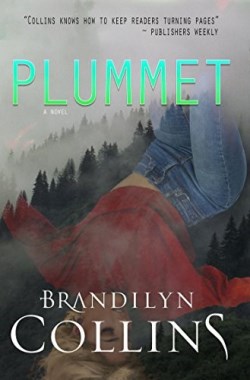 9780996961172 Plummet : A Novel