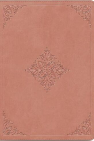 9798874906320 Giant Print Bible